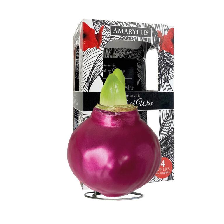 ME-01 Metallic cerise in carton gift box
