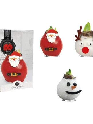 SE-14 Snowman/Reindeer/Santa Claus mixed in PET gift box