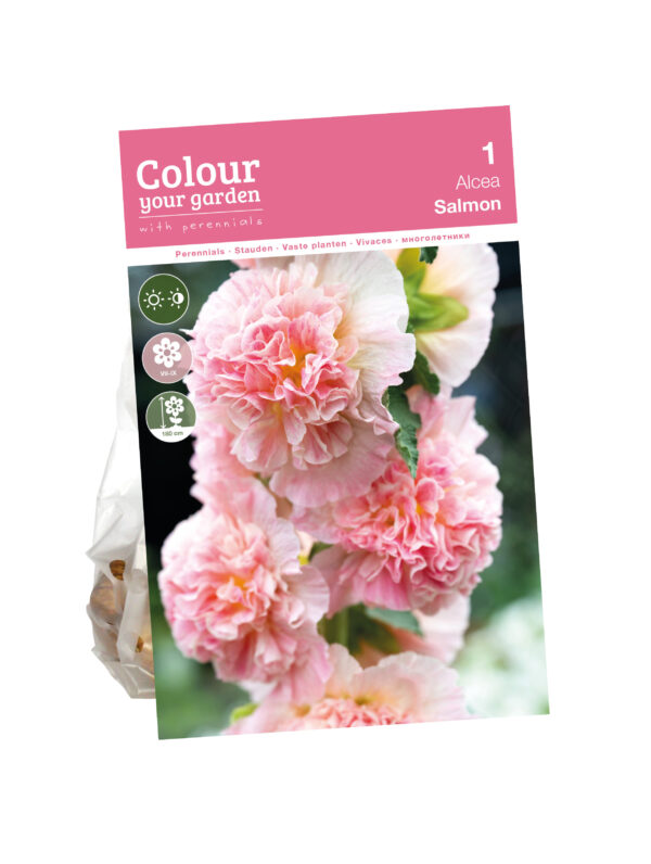 Alcea Salmon