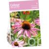 Echinacea purpurea