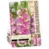 Gladiolus Happy Disco