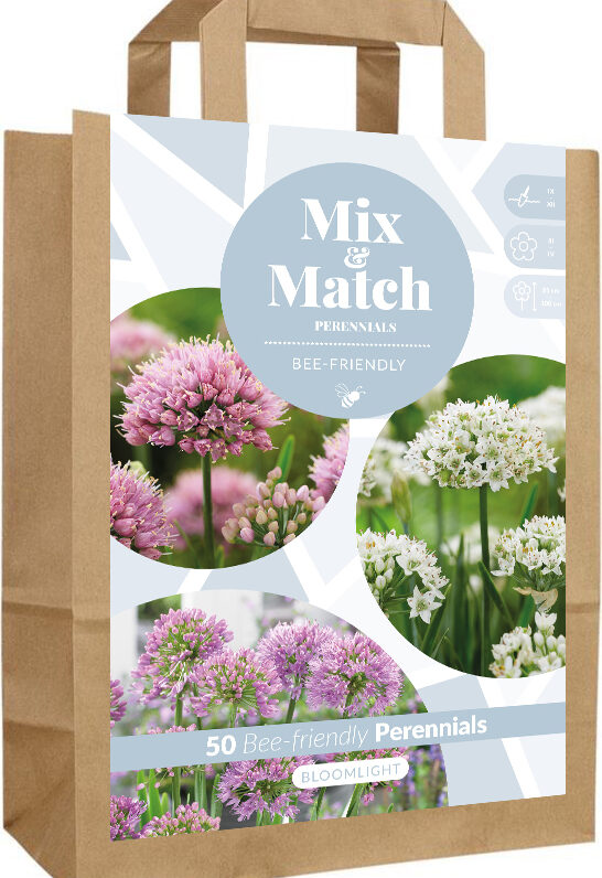Mix & Match Bloomlight