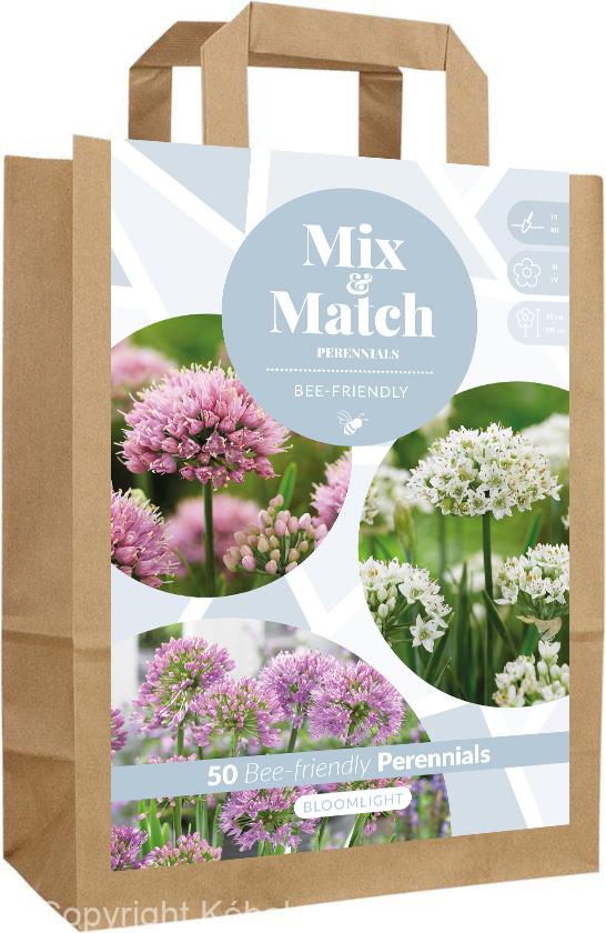 Mix & Match Bloomlight