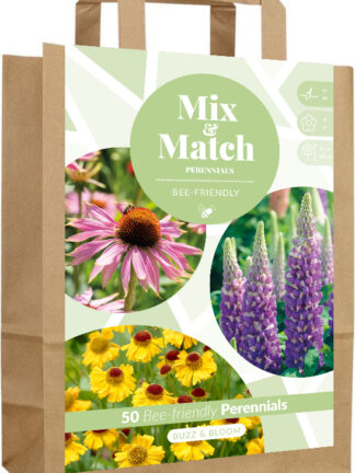 Mix & Match Buzz & Bloom