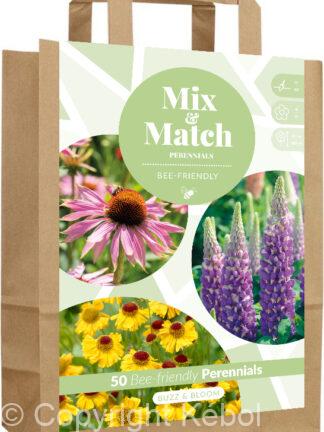 Mix & Match Buzz & Bloom