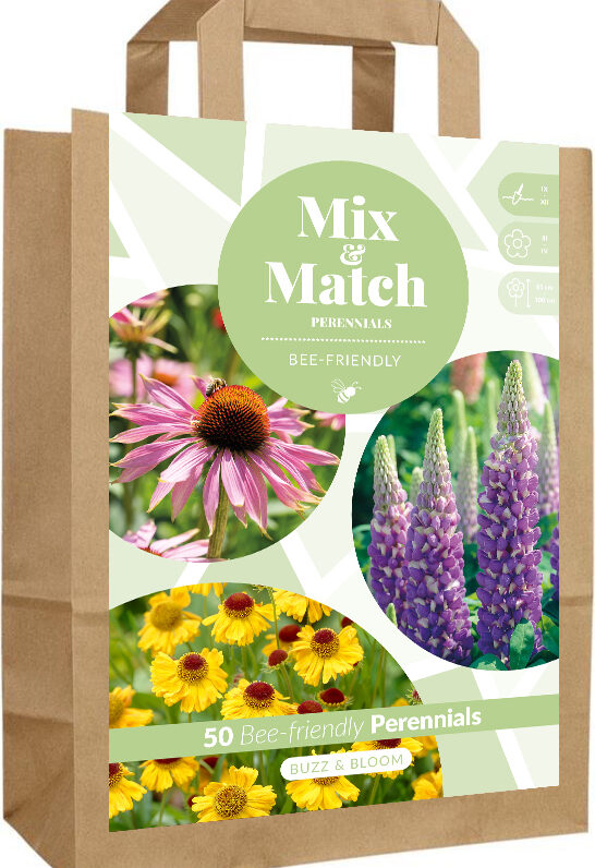 Mix & Match Buzz & Bloom