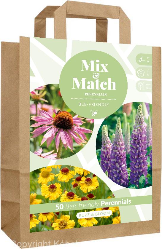 Mix & Match Buzz & Bloom