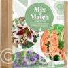 Mix & Match Pastel Poise