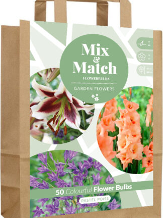 Mix & Match Pastel Poise