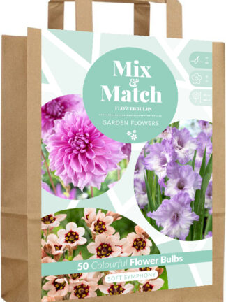 Mix & Match Soft Symphony