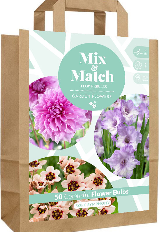 Mix & Match Soft Symphony