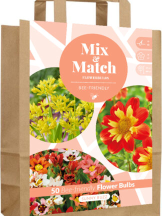 Mix & Match Sunny Buzz