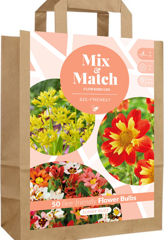 Mix & Match Sunny Buzz
