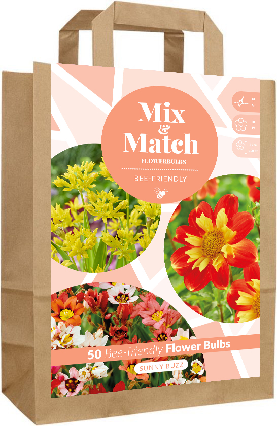 Mix & Match Sunny Buzz