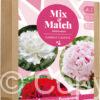 Mix & Match Trio of Grace