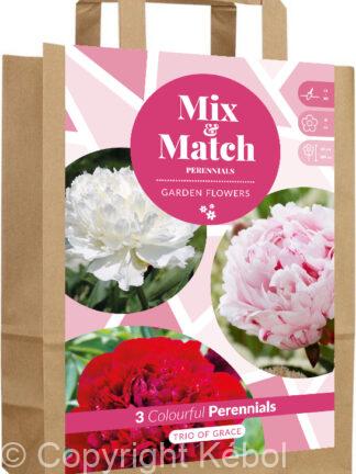 Mix & Match Trio of Grace