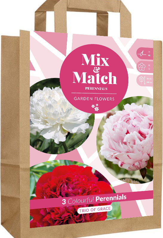 Mix & Match Trio of Grace