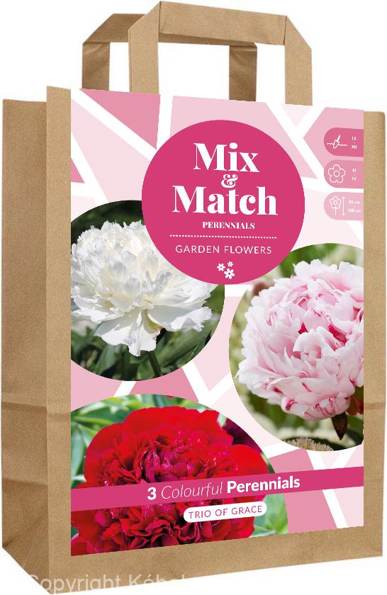 Mix & Match Trio of Grace