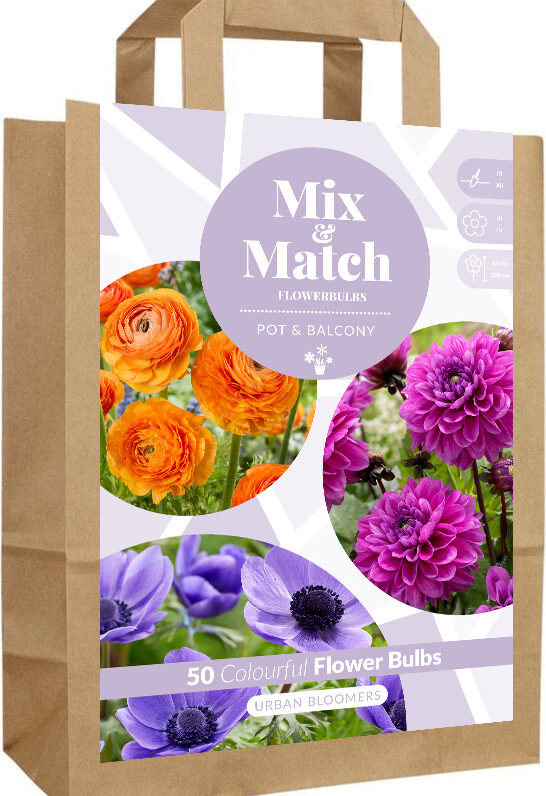 Mix & Match Urban Bloomers