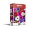 CyG Pocket Box Anemone