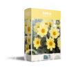 CyG Pocket Box Dahlia