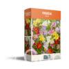 CyG Pocket Box Freesia