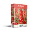 CyG Pocket Box Gladiolus