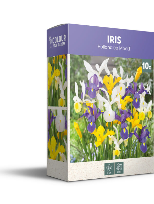 CyG Pocket Box Iris