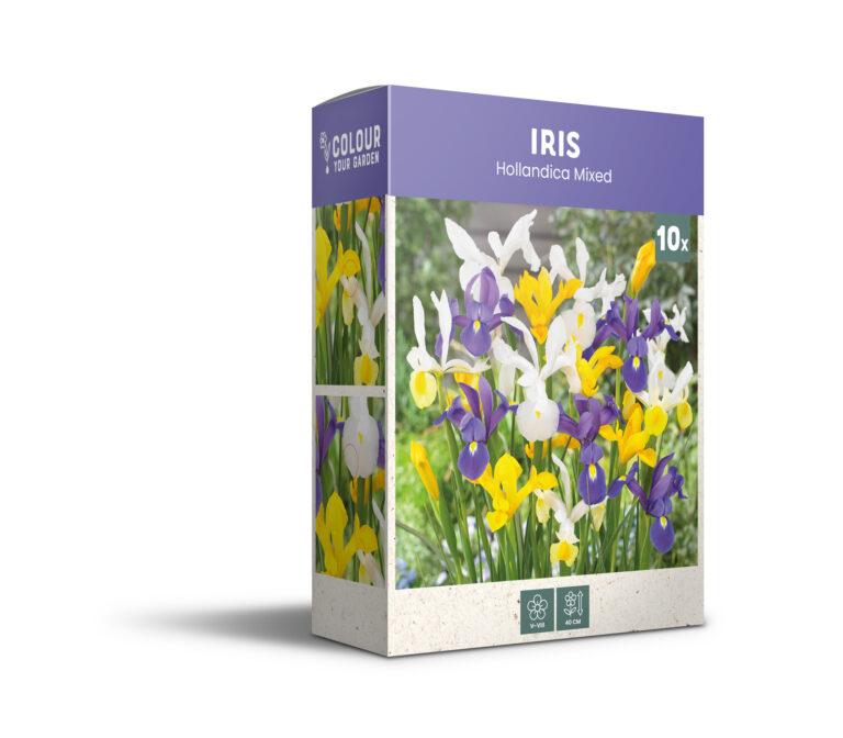 CyG Pocket Box Iris