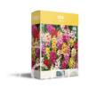 CyG Pocket Box Ixia