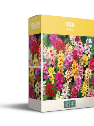 CyG Pocket Box Ixia
