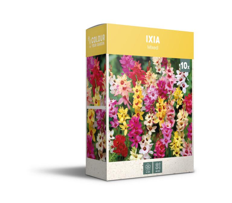 CyG Pocket Box Ixia