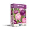 CyG Pocket Box Ranunculus