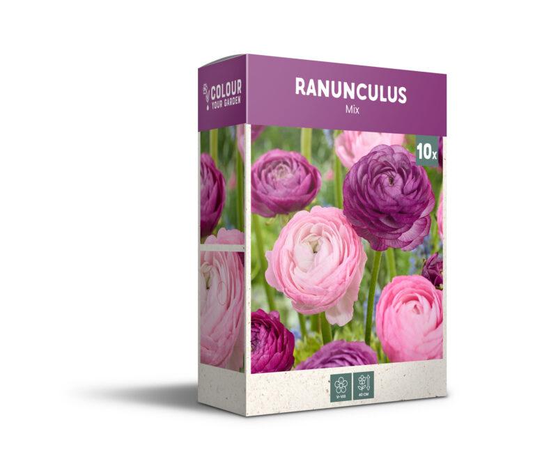 CyG Pocket Box Ranunculus