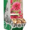 Dahlia Alain Mimoun - RB