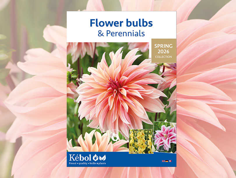 Kebol Shell New catalogue Spring 2026 - Kébol
