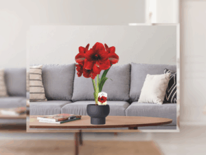 Amorita Danu is the highlight of the potting season