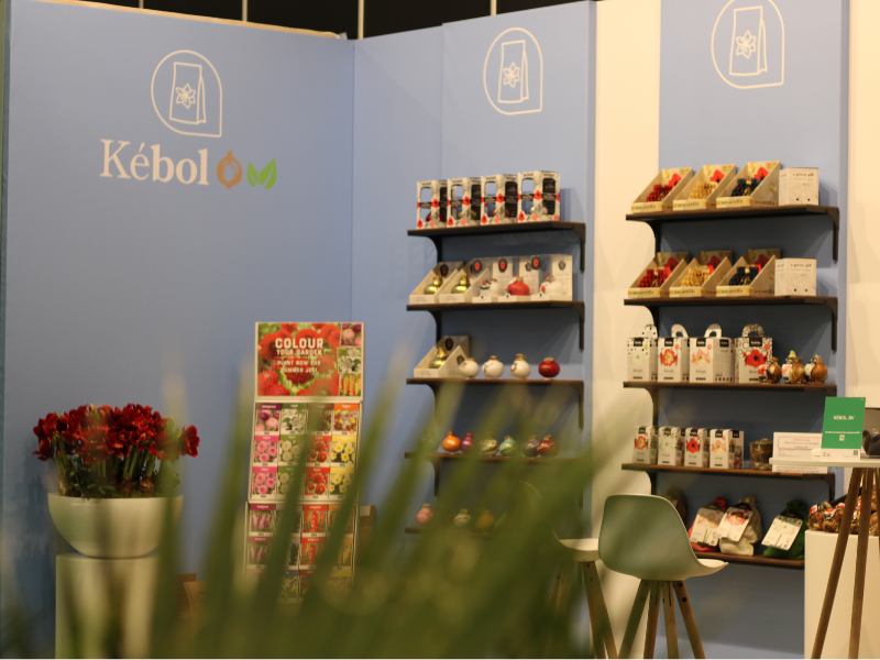 A stand of Kébol at flower fair with lightblue background and several Amorita bulbs on stages.