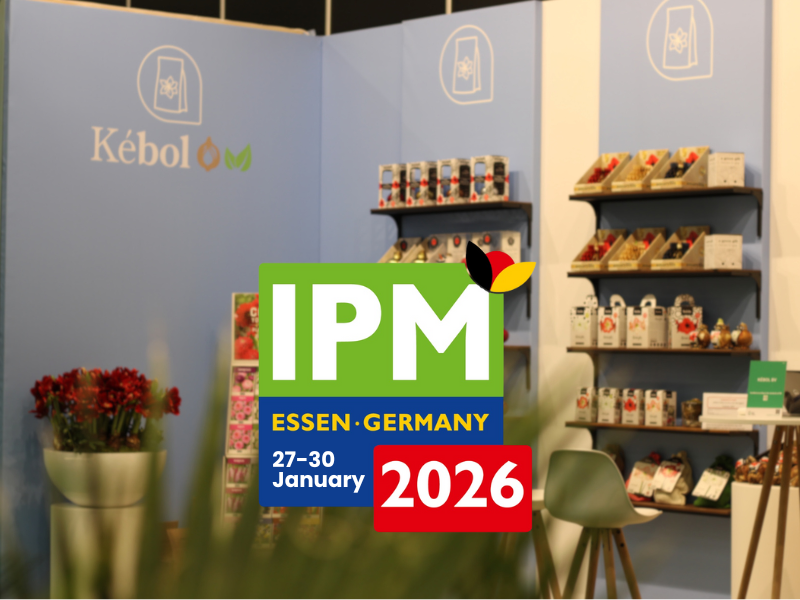 Een licht wazig beeld van een Kebol kraampje op een bloemen beurs, met het logo van IPM Essen 2026 eroverheen.