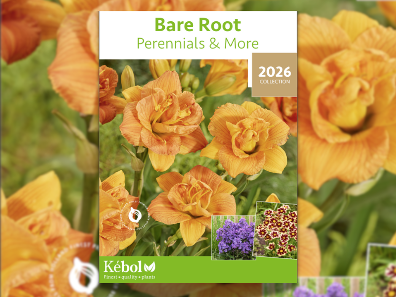 Een beeld van een bare root perennial brochure van Kebol