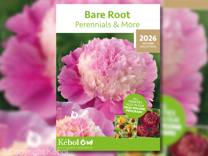 Bare Root Perennials brochure van herfst 2026