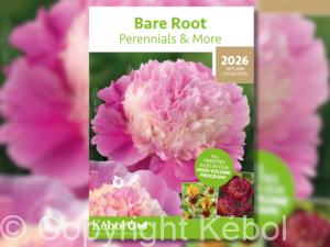 Bare Root Perennials & More - autumn 2026 catalogue