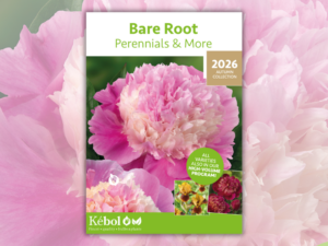 Voorkant van Bare Root perennial autumn 2026 brochure op beeld.
