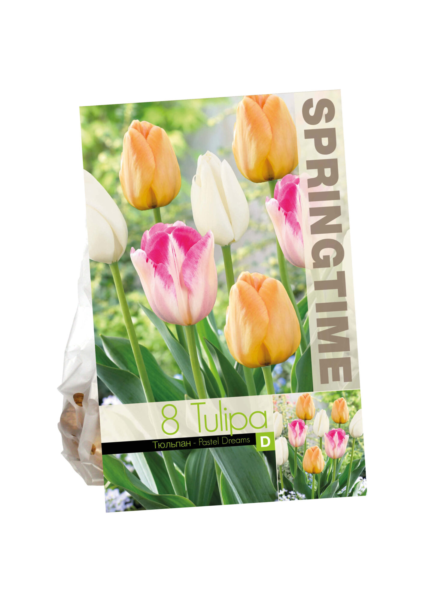 Tulipa Pastel Dreams