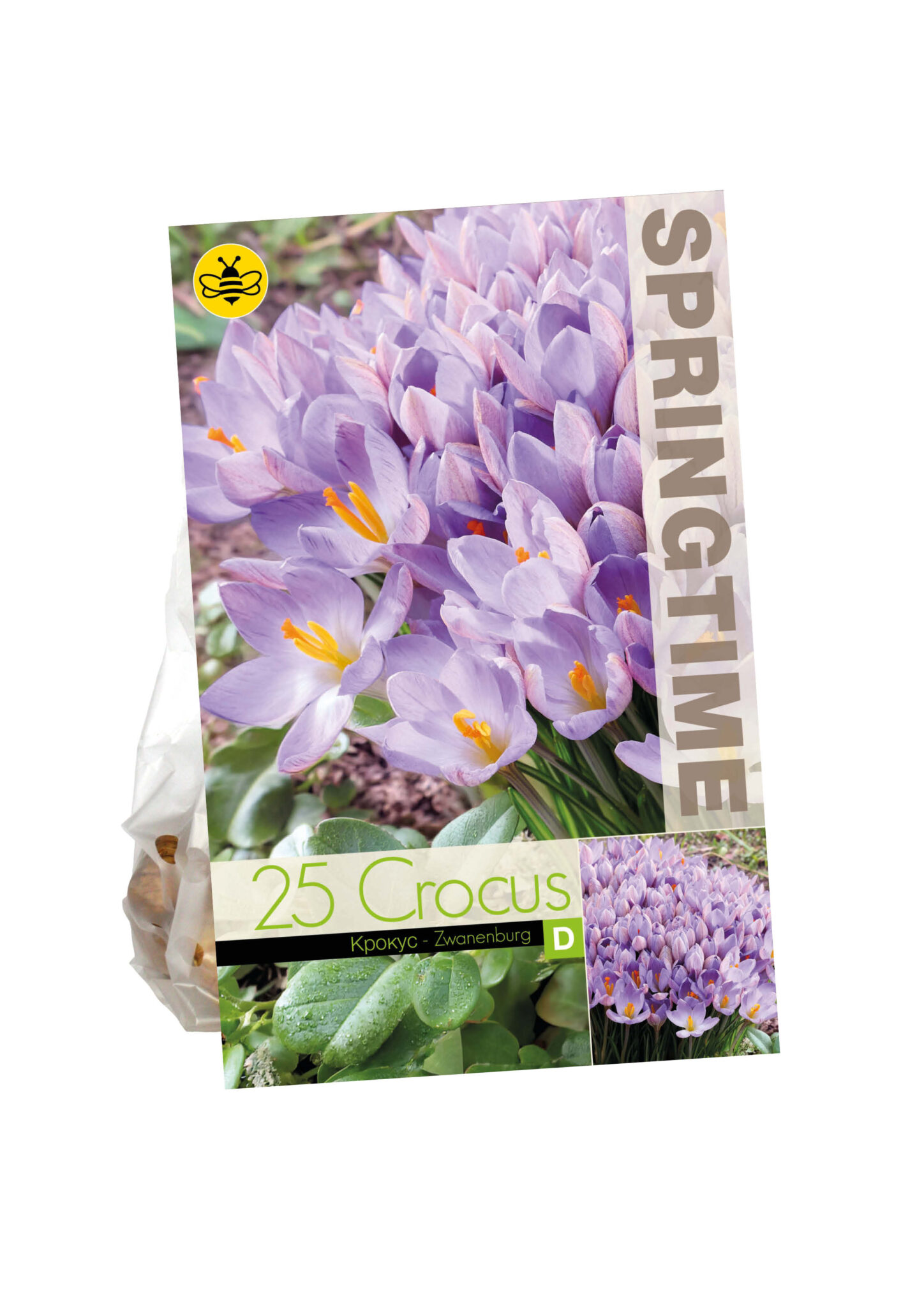 Crocus Zwanenburg