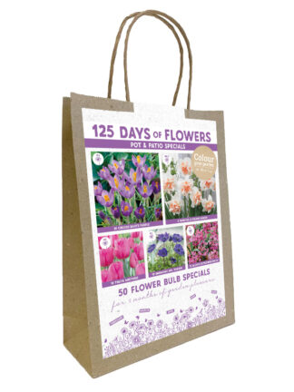 Colour your Balcony Pink/White