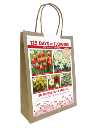 Colour your Balcony Red/Yellow