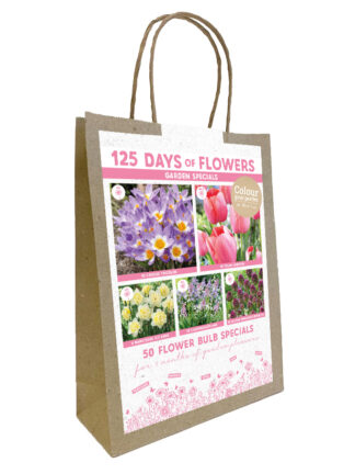 Colour your Garden Pink/White