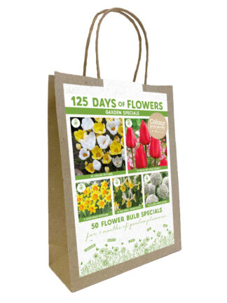 Colour your Garden Red/Yellow