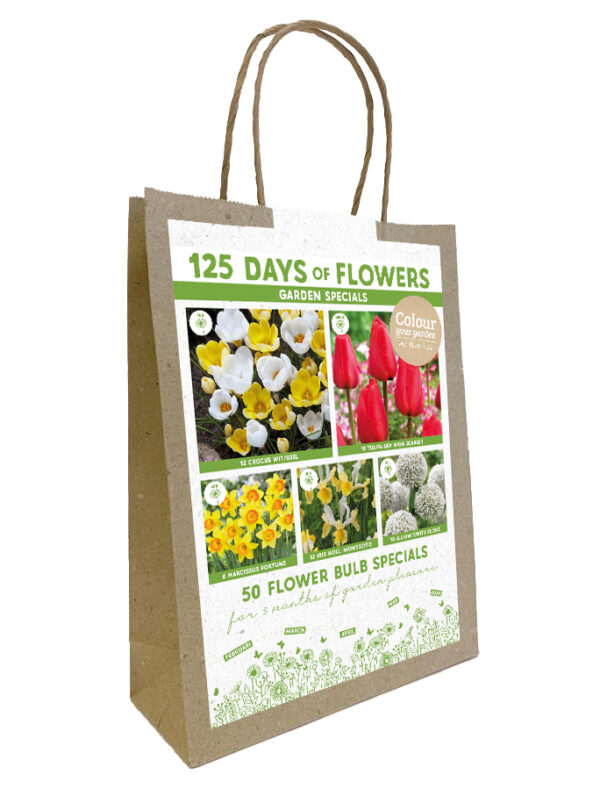 Colour your Garden Red/Yellow